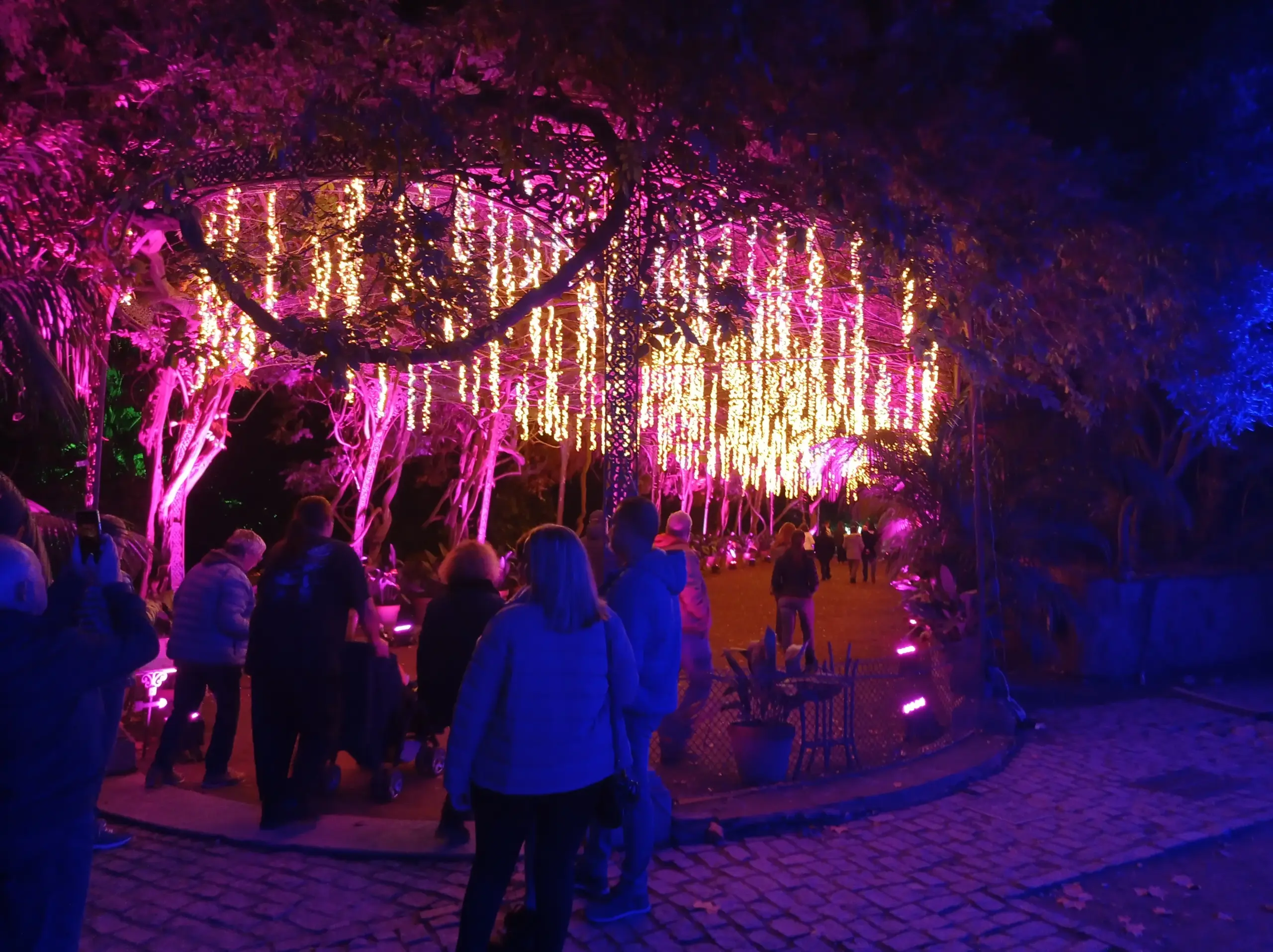bonito lugar bien iluminado de noche con flores